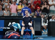 开云体育官网-世界网球队逆转日本网球队，穆雷送出助攻