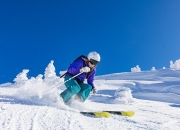 开云体育平台APP-塞内加尔铁血防线全面压制埃及，阿拉巴冠军级表现诠释现代中卫新定义