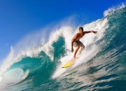 开云官网-温网横扫联合杯，蒂姆的草地高光，一场定义职业生涯的胜利