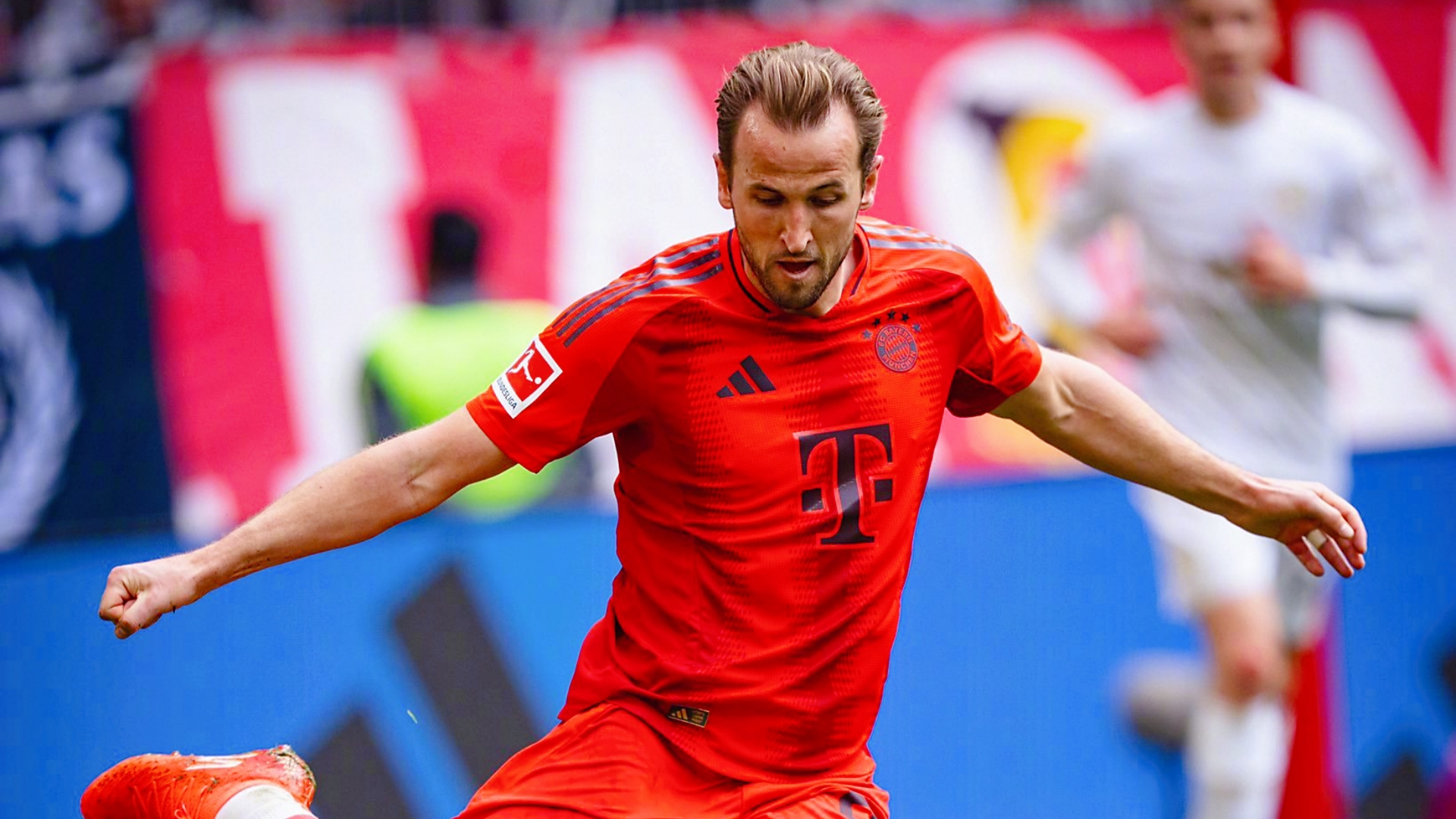 关于加拿大险胜荷兰,哈里·凯恩关键制胜的信息 关于加拿大险胜荷兰,哈里·凯恩关键制胜的信息