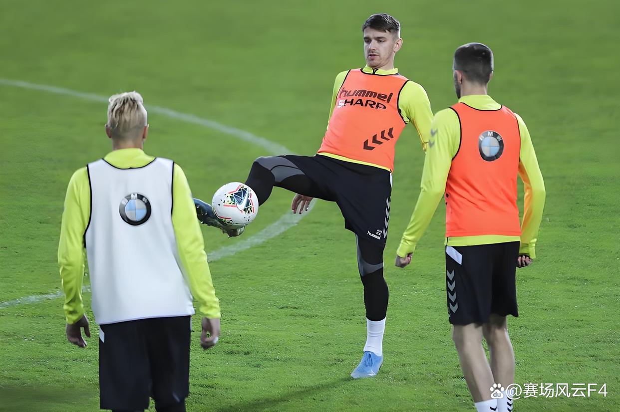 关于立陶宛力挑荷兰，备战决胜局的信息