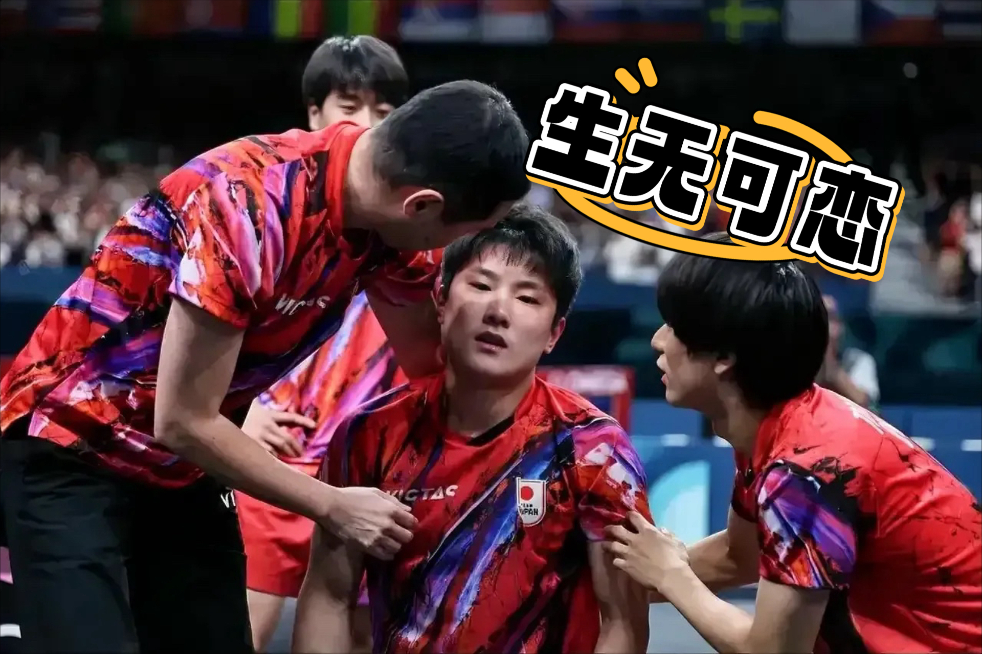 日本乒乓球队血洗韩国乒乓球队，张本智和关键制胜的简单介绍