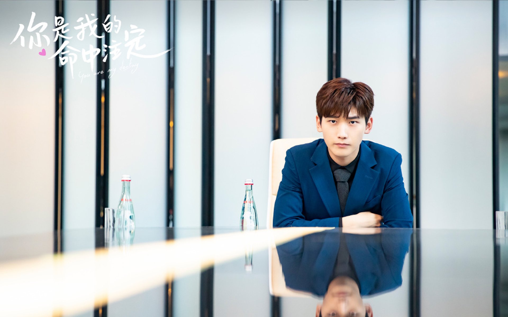 欧冠决赛焦点战，奇才完胜浙江队，一场跨越时空的梦幻对决