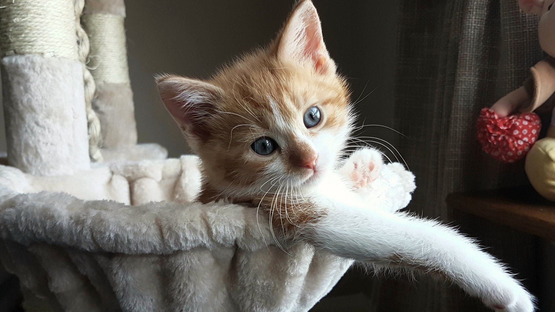 欧冠决赛之夜，佩德里攻防转换核心