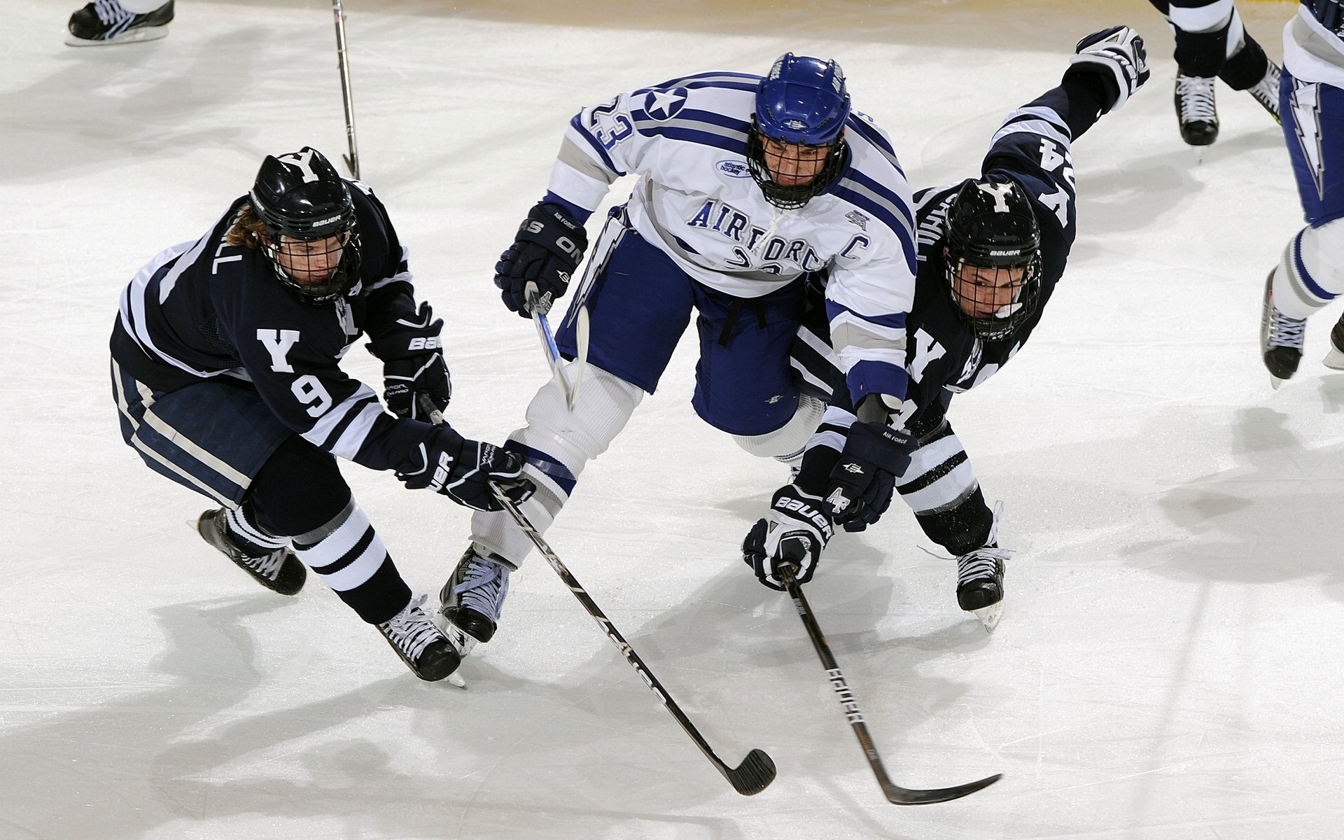 北境之怒，猛龙生死战粉碎篮网，西决之魂在东部战场燃烧