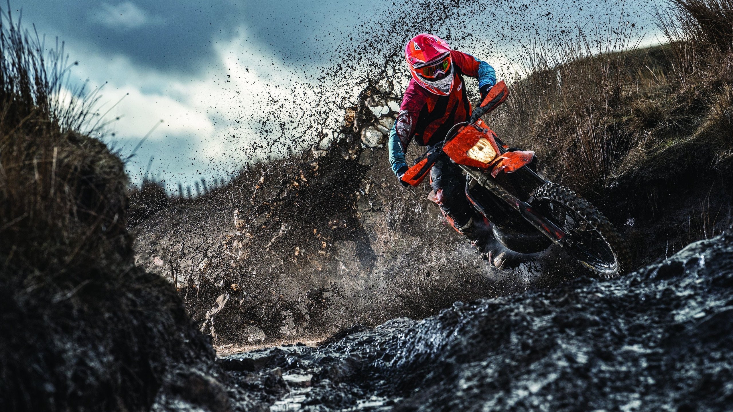 红牛二队力克索伯车队，佩雷兹关键制胜，策略与勇气的完美结合